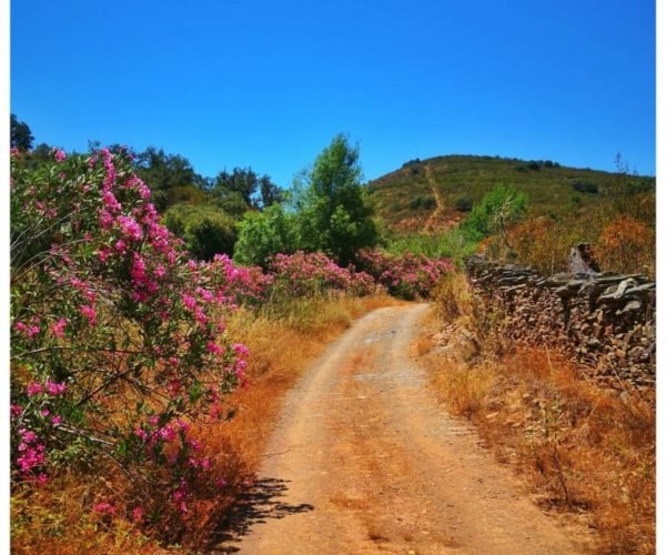 stage trail Portugal