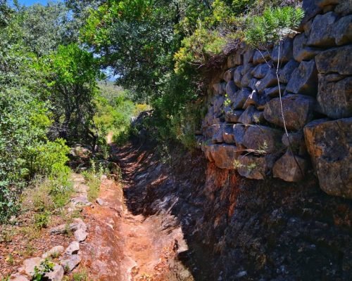 Trail in Moncarapacho