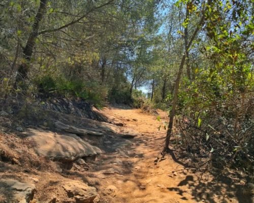 Chemin qui mène au 7 vallées suspendues en Algarve