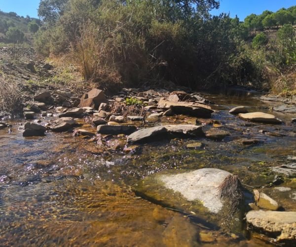 Stage trail Portugal