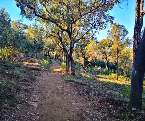 stage trail Portugal