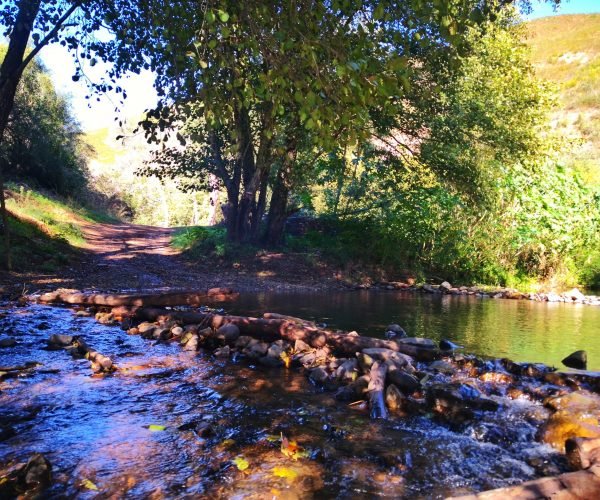 stage trail Portugal