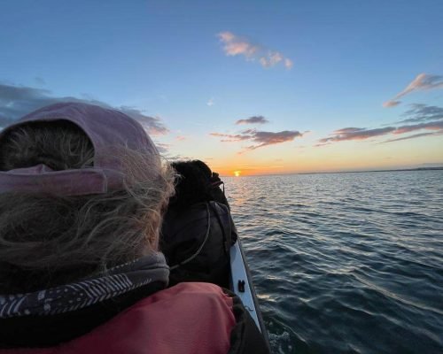 riaformosa-ile-olhao-bateau-sunset