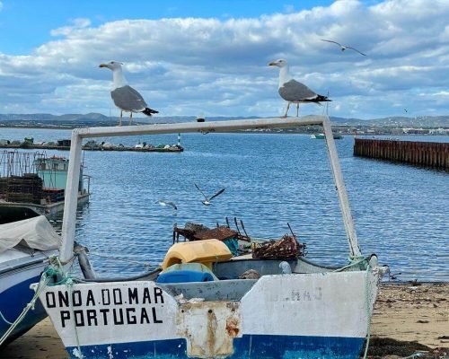 riaformosa-ile-olhao-culatra-peche